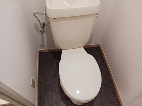 Naikan6 20250124000000