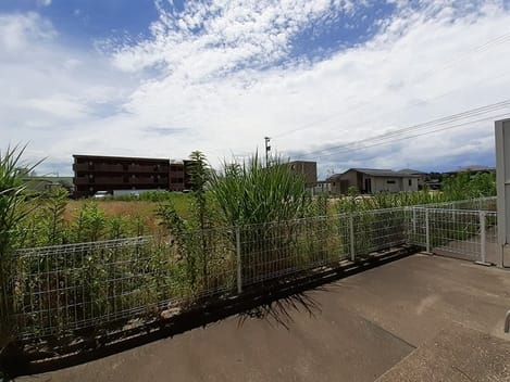 Naikan5 20230627000000