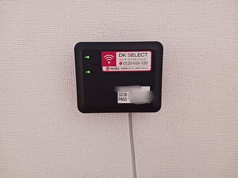 Naikan8 20260119000000