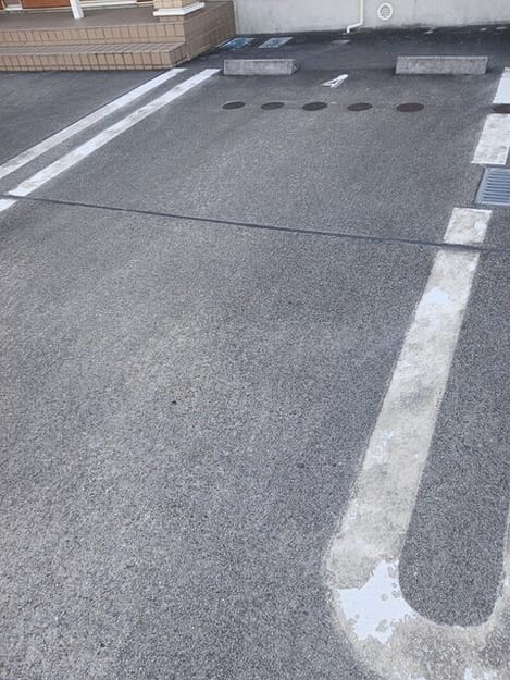 Naikan11 20260203000000