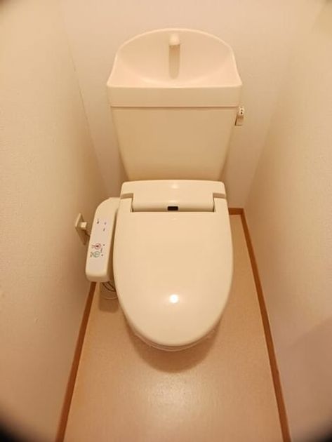 Naikan8 20260203000000 945x630