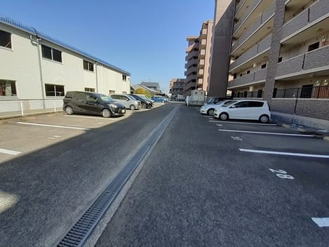 Naikan7 20241217000000