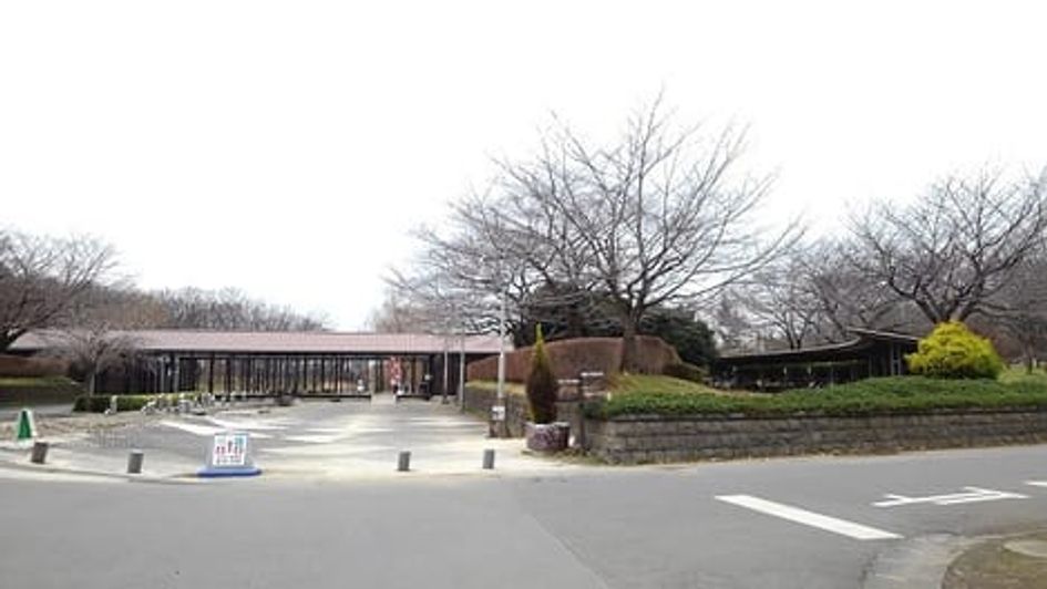 Naikan18 20240326000000 945x630