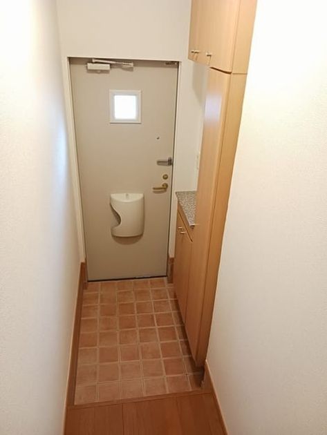 Naikan6 20250129000000 945x630