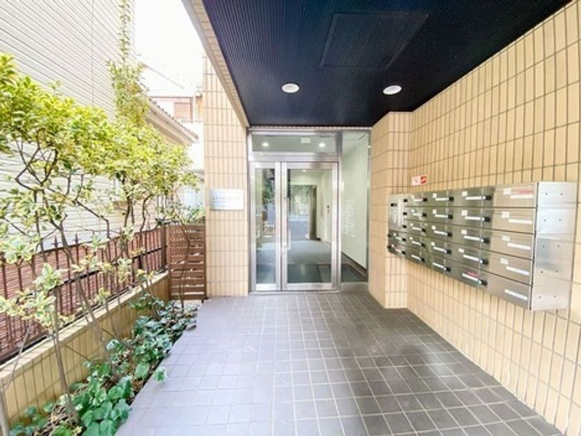 Naikan19 20260212215556 945x630