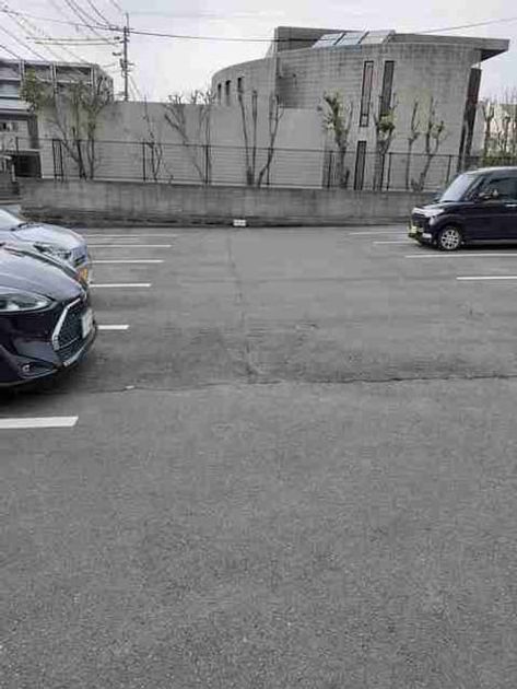 Naikan8 20210305000000 945x630