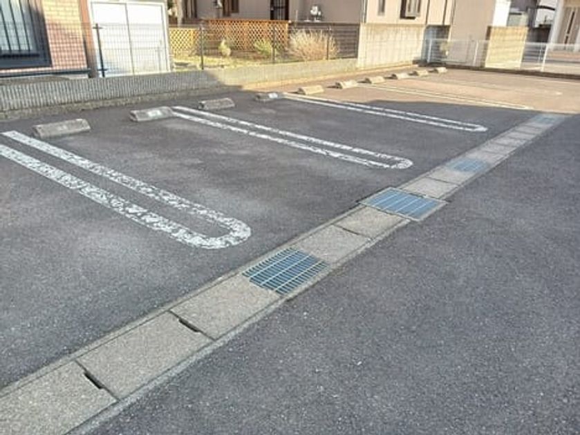 Naikan11 20260309000000 945x630