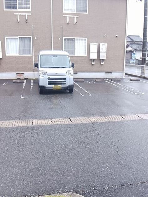 Naikan11 20260319000000 945x630