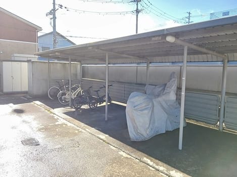 Naikan11 20250115000000