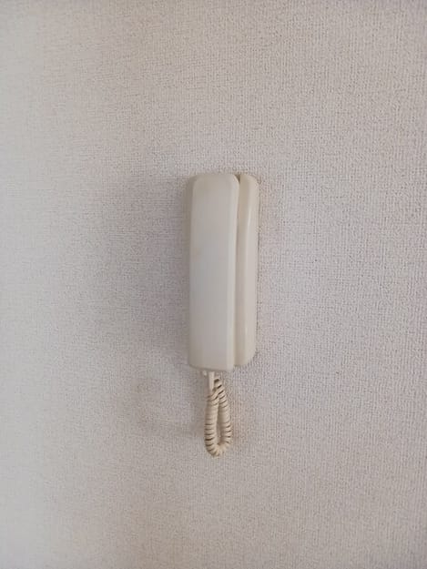 Naikan12 20260519000000