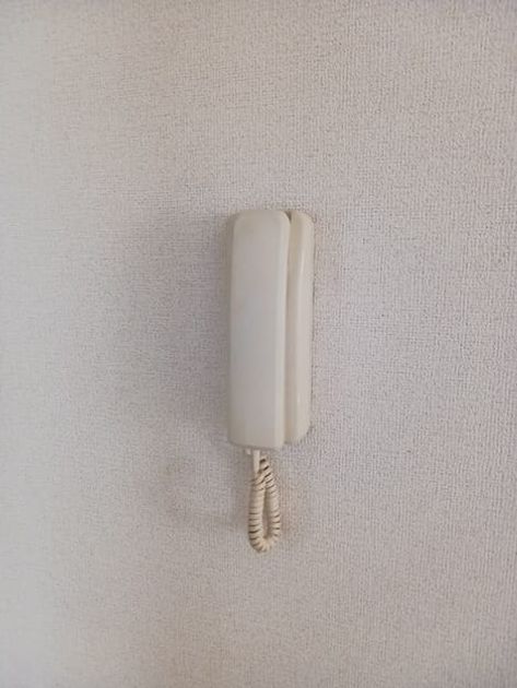 Naikan12 20260519000000 945x630