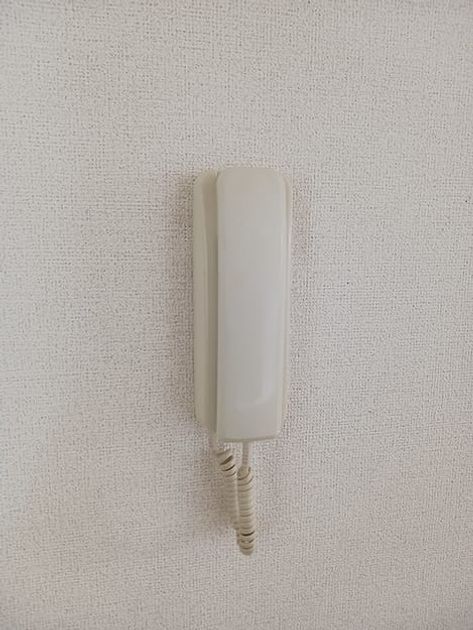 Naikan12 20261027000000 945x630