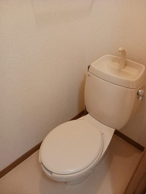 Naikan8 20260630000000 945x630