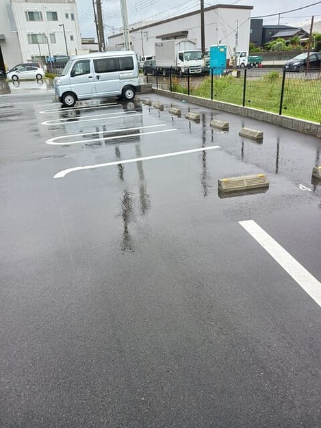 Naikan10 20260602000000