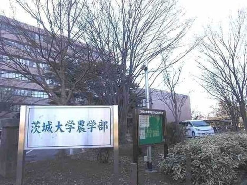 Naikan15 20220309000000 945x630