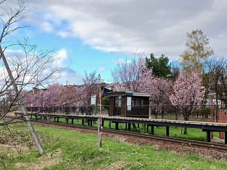 Naikan14 20260428000000