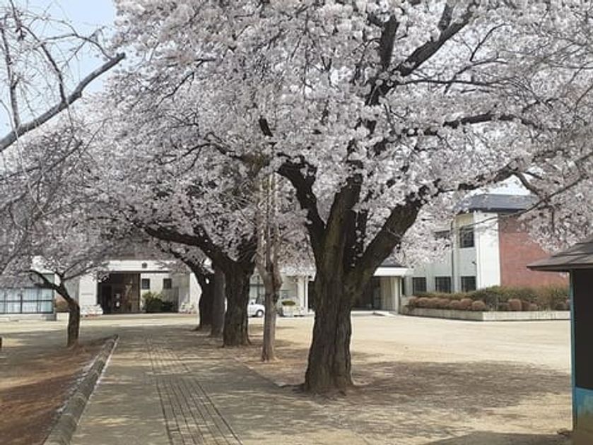 Naikan18 20220407000000 945x630