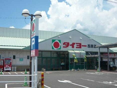 Naikan14 20241121000000