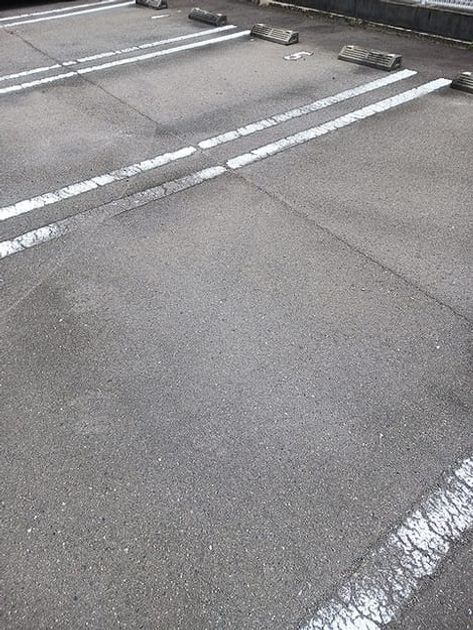 Naikan11 20260615000000 945x630