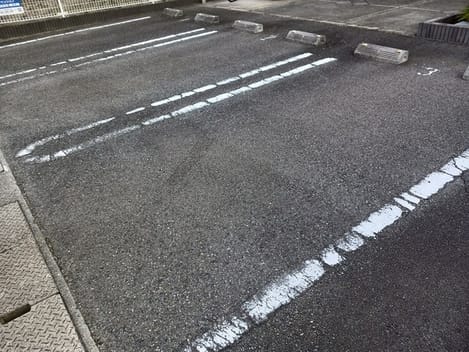 Naikan11 20250205000000