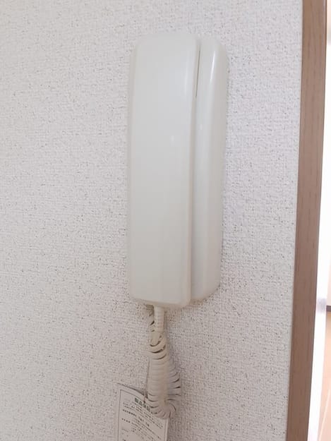 Naikan12 20250204000000