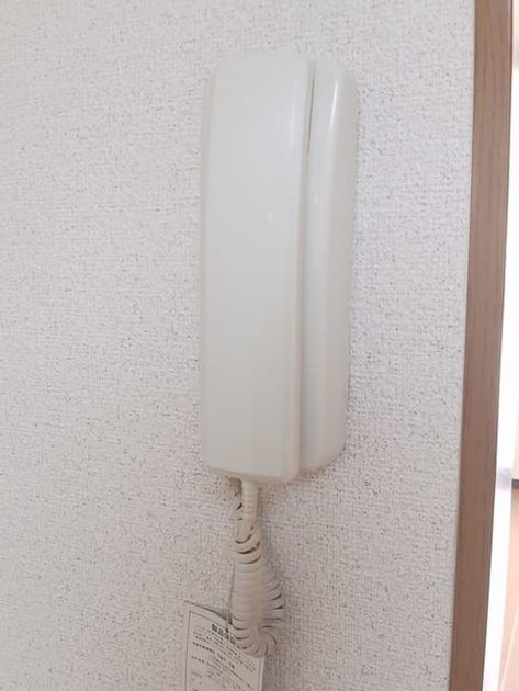 Naikan12 20250204000000 945x630