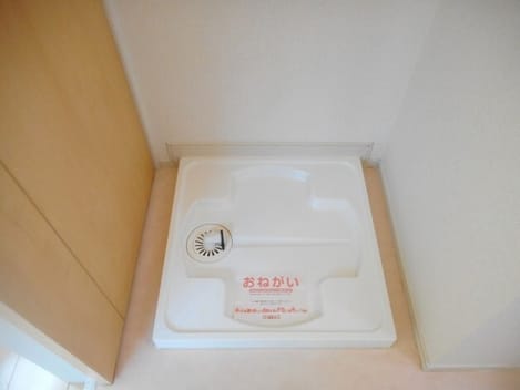 Naikan8 20260327000000