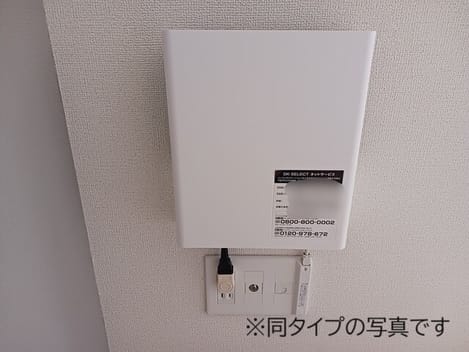 Naikan10 20260220000000