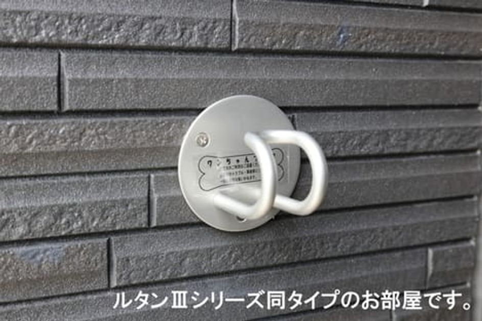 Naikan12 20260519000000 945x630