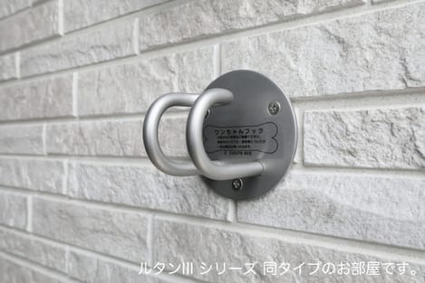 Naikan12 20260518000000