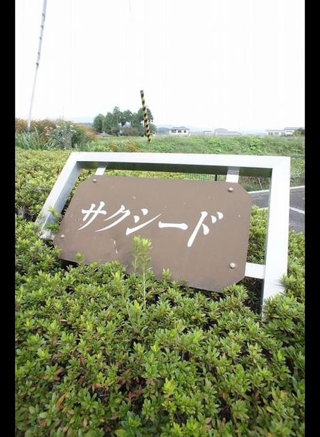 Naikan8 20201028000000 945x630