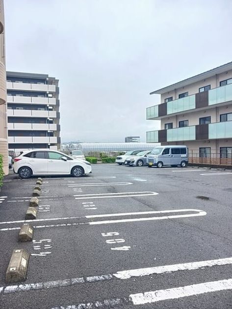 Naikan11 20260911000000 945x630
