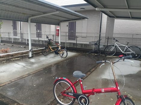Naikan11 20240403000000