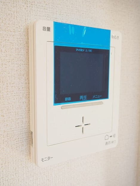 Naikan11 20241127000000
