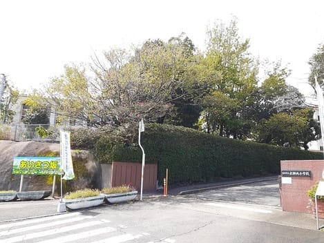 Naikan15 20240729000000
