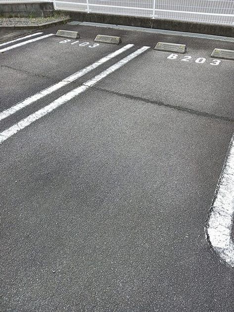 Naikan11 20260819000000 945x630