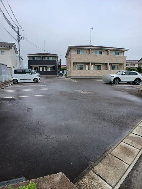 Naikan11 20260803000000