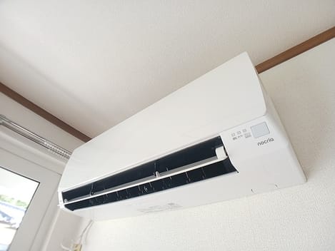Naikan8 20260826000000