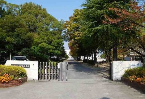 Naikan18 20260527000000