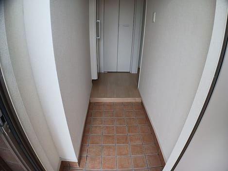 Naikan7 20260803000000