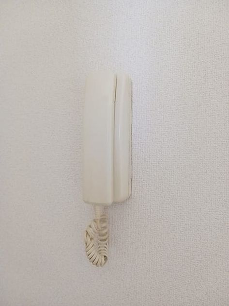 Naikan12 20260930000000 945x630
