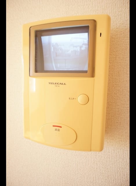 Naikan11 20250206000000