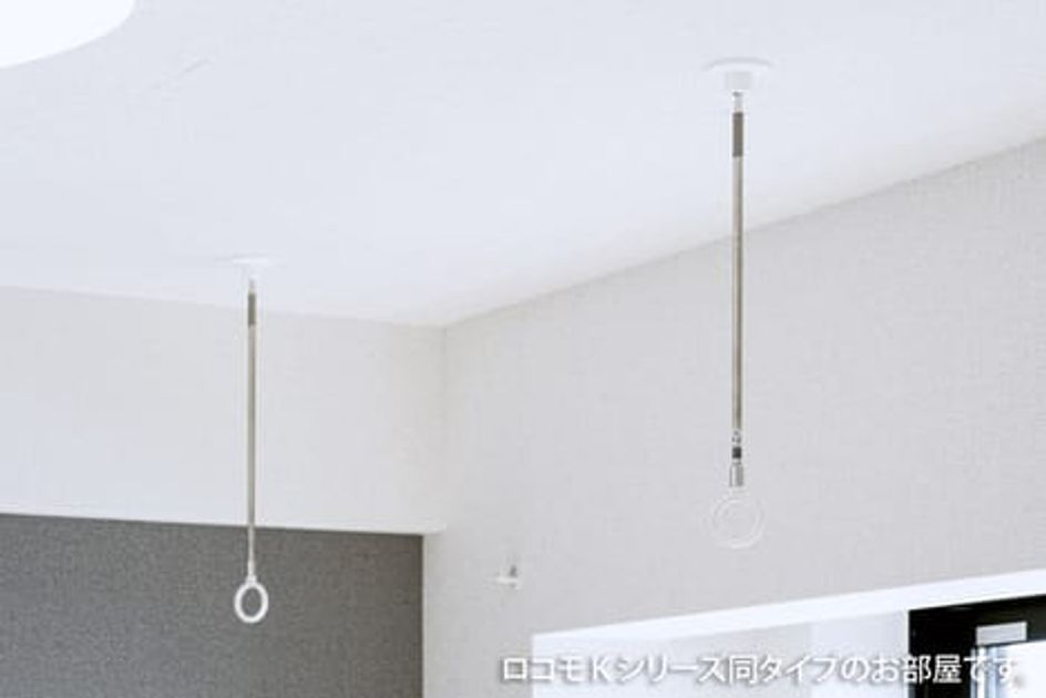 Naikan11 20251209000000 945x630