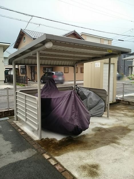 Naikan10 20241011000000