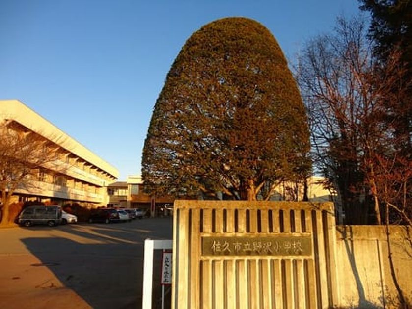 Naikan18 20200917000000 945x630