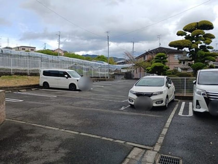 Naikan10 20250415000000 945x630