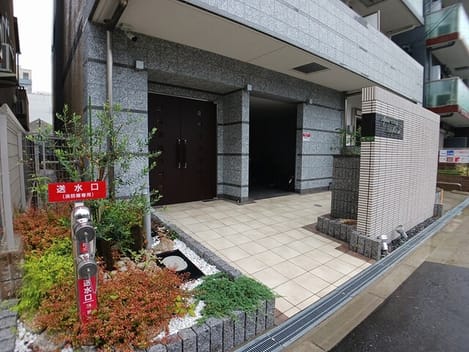 Naikan9 20250609000000
