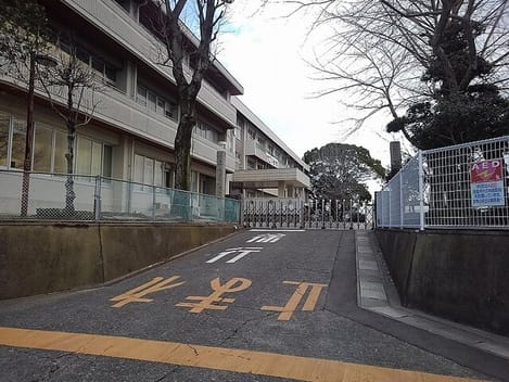 Naikan13 20260915000000