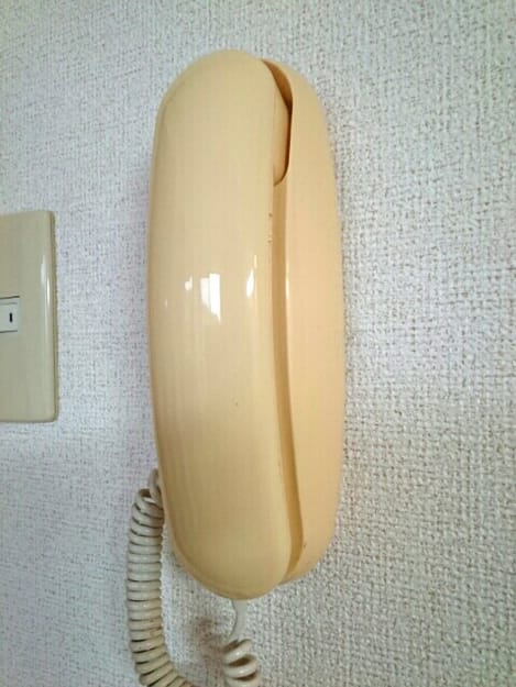 Naikan11 20200825000000