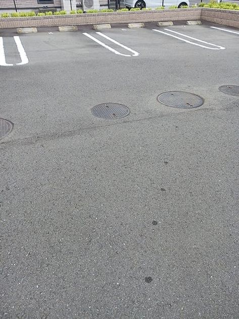 Naikan11 20260820000000 945x630